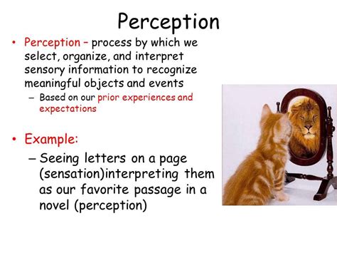 perceptual meaning in kannada